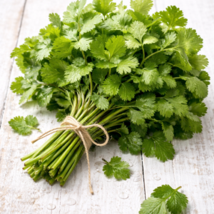 Fresh Dhaniya Leaves(Coriander - Leaves)